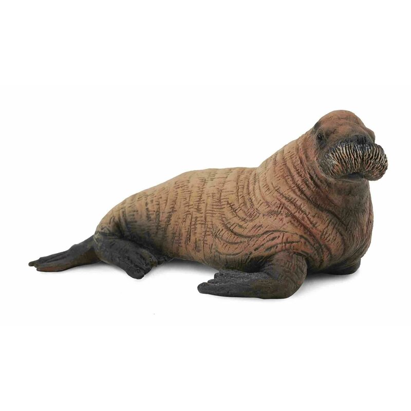 Collecta - figurina pui de morsa m