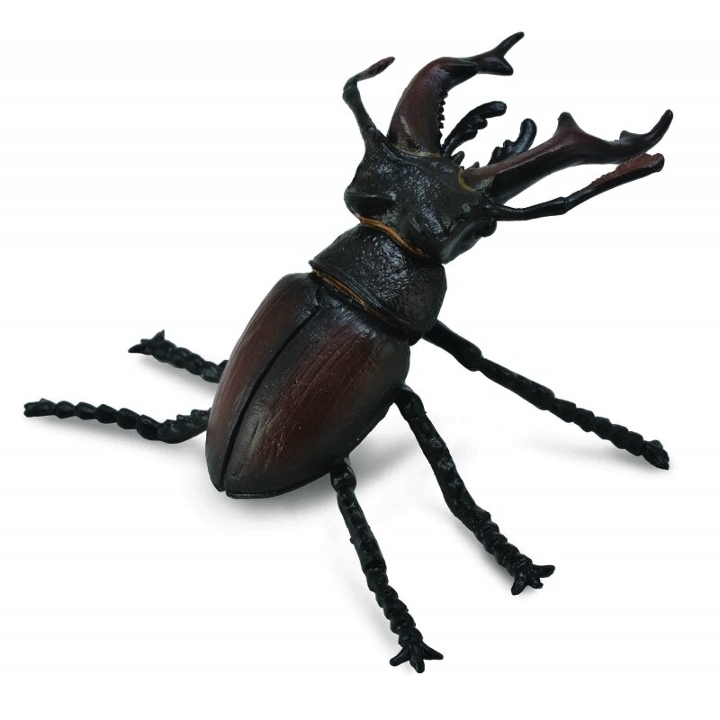 Collecta - Figurina Radasca Mascul, M