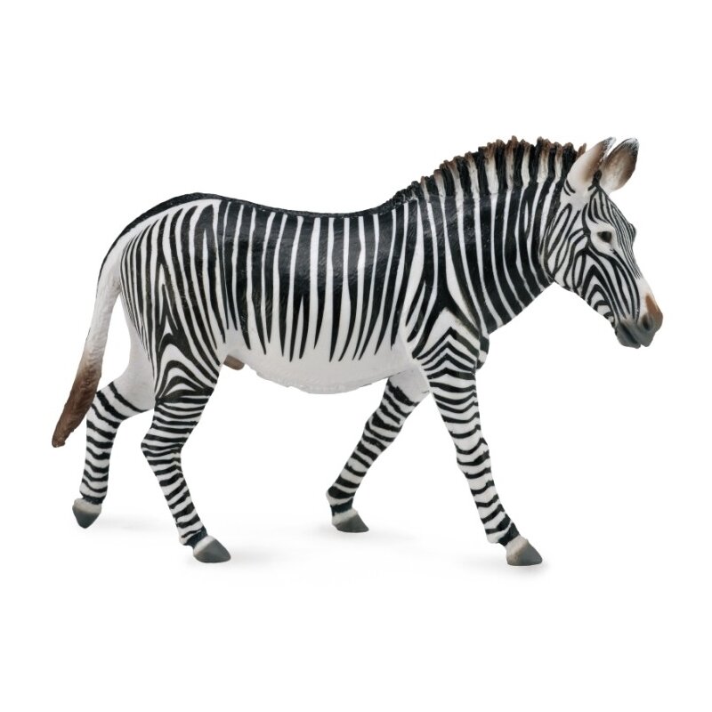 Collecta - figurina zebra grevy xl
