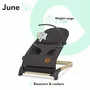Fotoliu balansoar, Lionelo, June, Cu arcada cu jucarii, Ergonomic, Balansare manuala, Pliabil, 0 luni+, Gri, Resigilat - 4