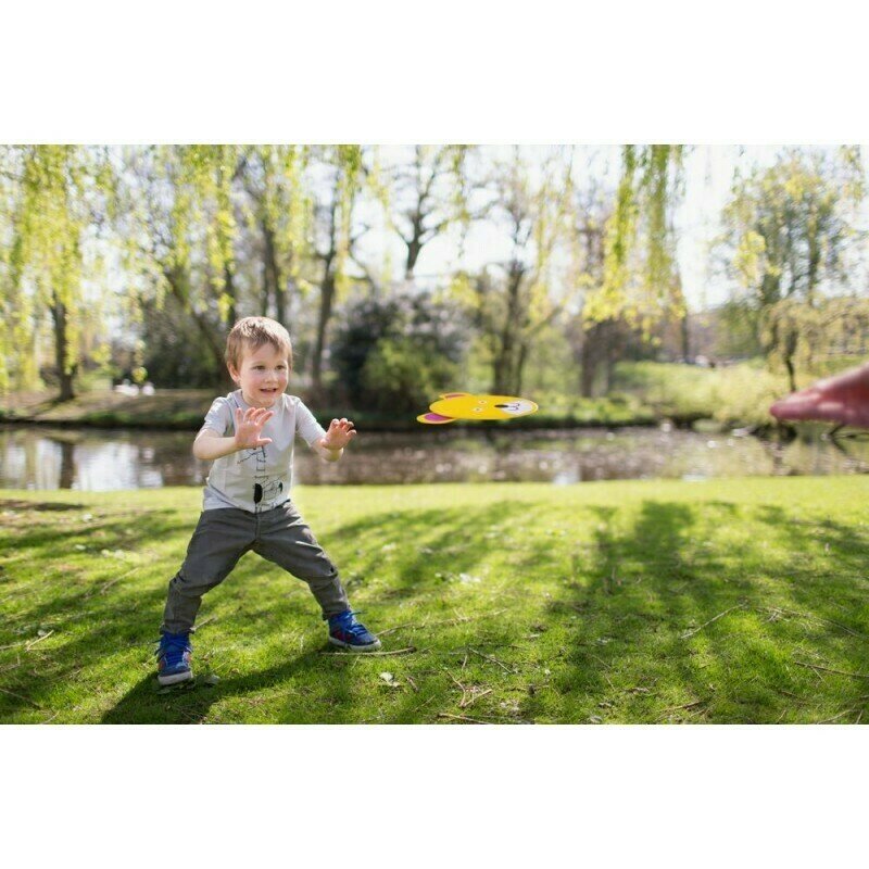 Bs toys - frisbee pestisor