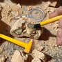 Educational Insights - Set pentru explorat Kit excavare fosile - 4