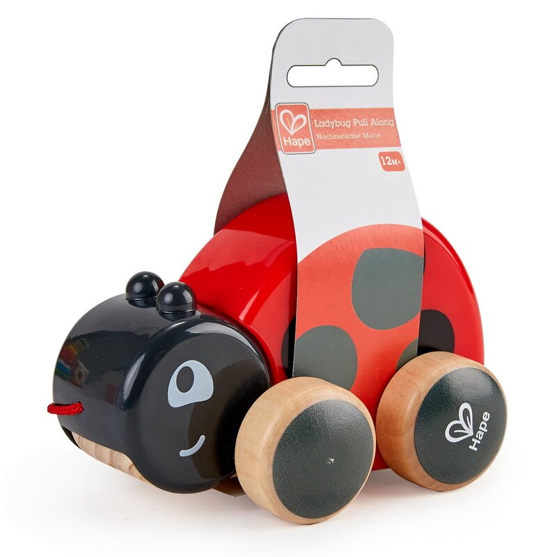 Hape - jucarie de tras buburuza