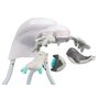 Leagan balansoar, Caretero, Raffi, Pliabil, Pana la 12 kg, Inclinare spatar in 2 pozitii, 5 viteze de balansare, Cronometru, Cu melodii si sunete ale naturii, Cu accesorii, 0-12 luni, Pink - 15