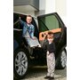 Lorelli - Inaltator auto Sirius Fix, 22-36 Kg, cu Isofix, Roz - 8