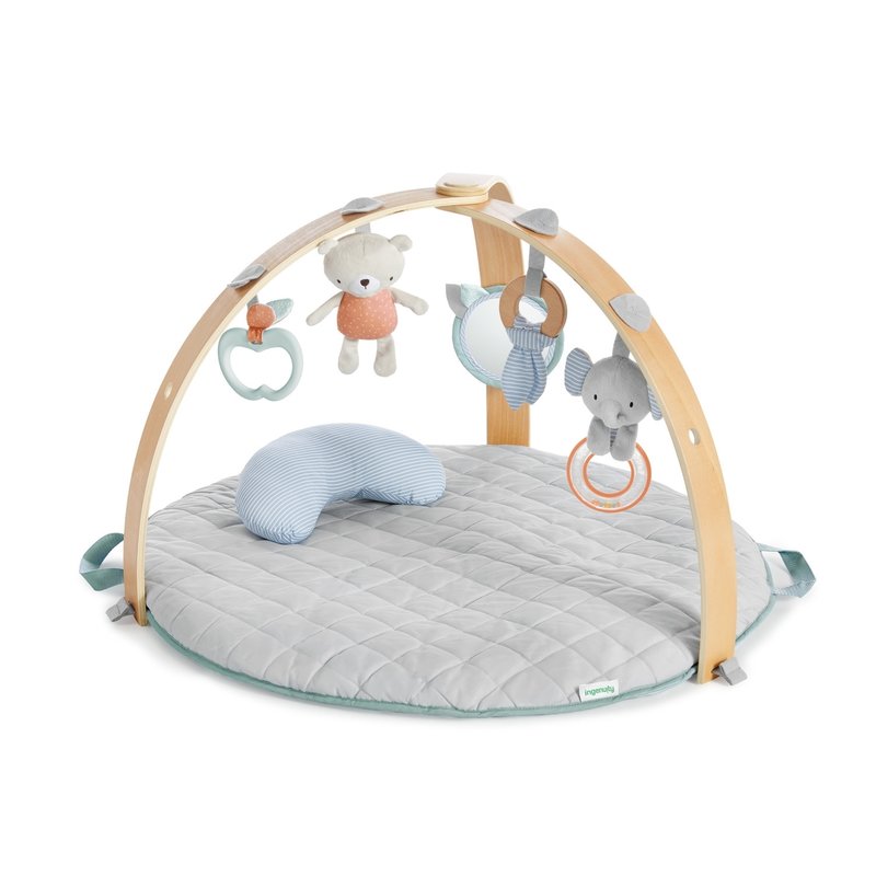 Ingenuity - salteluta de activitati cu doua fete, cozy spot