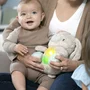 Jucarie din plus cu sunete ale batailor inimii, cantece de leagan, vibratii si lumini, Ingenuity, Silvy, Iepuras, Moale, Dezvolta imaginatia si jocul creativ, 0 luni+, Gri - 8