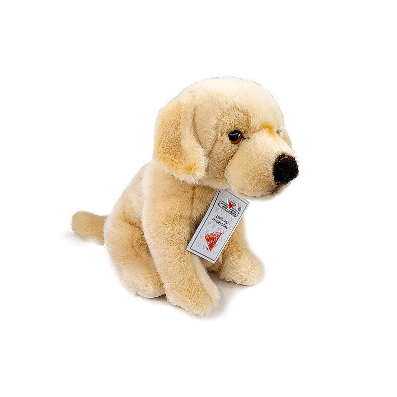 Jucarie plus catel labrador retriever