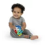 Jucarie senzoriala, Baby Einstein, Din silicon, Pentru antrenament motric, Fara BPA, 23x16x6 cm, 3 luni+, Multicolor - 7