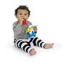 Jucarie senzoriala, Baby Einstein, Din silicon, Pentru antrenament motric, Fara BPA, 23x16x6 cm, 3 luni+, Multicolor - 8