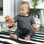 Jucarie senzoriala, Baby Einstein, Sensory Shake-up, Pentru explorare texturi, Dezvolta abilitatile motorii, Invatarea cauza-efect, Cu margele, Fara BPA, Inele zornaitoare, 3 luni+, Multicolor - 7