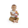 Jucarie senzoriala, Baby Einstein, Sensory Shake-up, Pentru explorare texturi, Dezvolta abilitatile motorii, Invatarea cauza-efect, Cu margele, Fara BPA, Inele zornaitoare, 3 luni+, Multicolor - 8