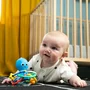 Jucarie senzoriala pentru dentitie cu zornaitoare, Baby Einstein, Opus, 0 luni+, fara BPA, Multicolor - 2
