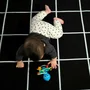 Jucarie senzoriala pentru dentitie cu zornaitoare, Baby Einstein, Opus, 0 luni+, fara BPA, Multicolor - 8