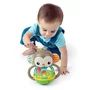 Jucarie zornaitoare, Oball, Grab & Giggle Monkey, 20 sunete si melodii, Manere moi, Usor de prins, 6 luni+, Multicolor - 3
