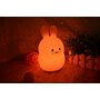 Lampa de veghe, FreeON, Silicon moale, Cu telecomanda si cablu USB, Cu 9 culori diferite si cronometru, Owl - 7