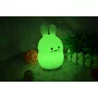 Lampa de veghe, FreeON, Silicon moale, Cu telecomanda si cablu USB, Cu 9 culori diferite si cronometru, Owl - 9
