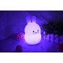 Lampa de veghe, FreeON, Silicon moale, Cu telecomanda si cablu USB, Cu 9 culori diferite si cronometru, Owl - 12