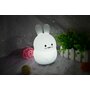 Lampa de veghe, FreeON, Silicon moale, Cu telecomanda si cablu USB, Cu 9 culori diferite si cronometru, Owl - 15