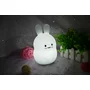 Lampa de veghe, FreeON, Silicon moale, Cu telecomanda si cablu USB, Cu 9 culori diferite si cronometru, Owl - 15