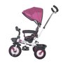 Tricicleta multifunctionala MamaLove Rider Violet - 2