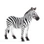 Mojo - Figurina Zebra - 1