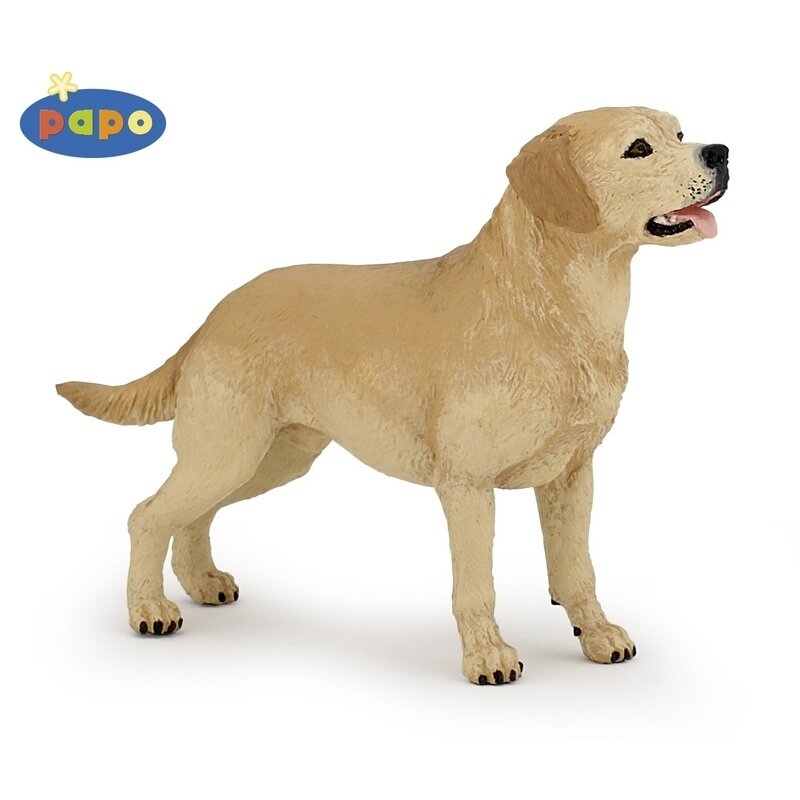 Caine labrador - figurina papo
