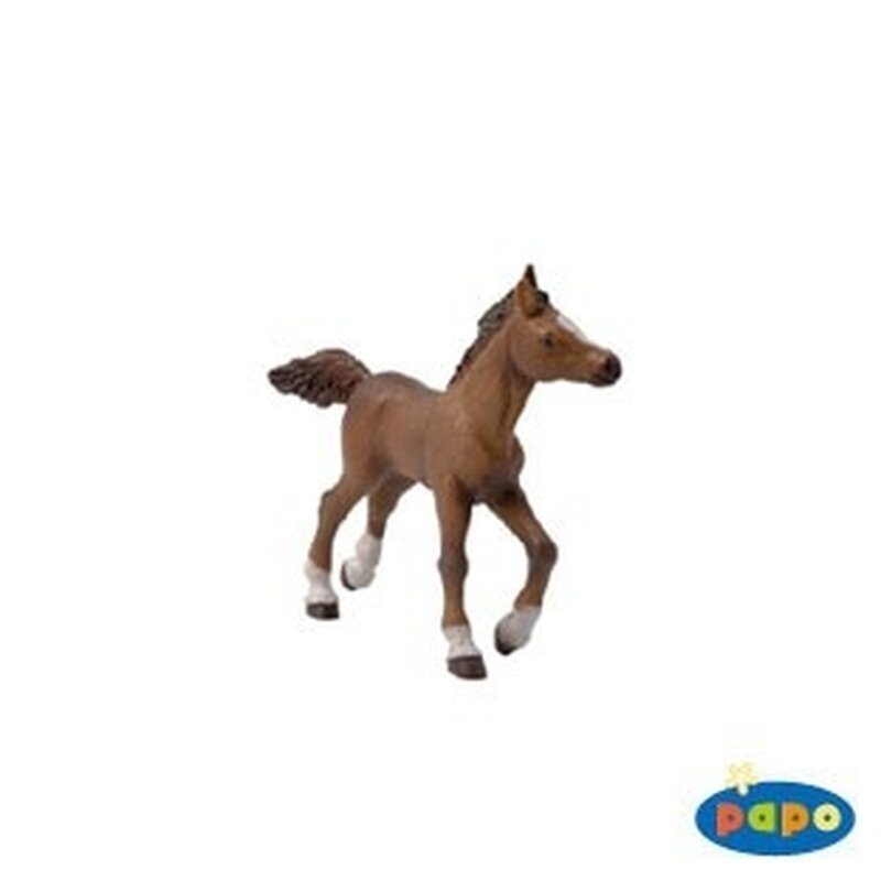 Manz rasa anglo-arab - figurina papo
