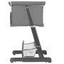 Patut co-sleeper, Lionelo, Thomi Plus, 5 in 1, Multifunctional, Sustine pana la 9 kg ca patut, 15 kg tarc de joaca, 100 kg canapea, Inaltime reglabila in 7 pozitii, De la nastere pana la 4 ani, Cu 2 saltele din spuma T25, 94x70x77-93,5 cm, Gri - 15