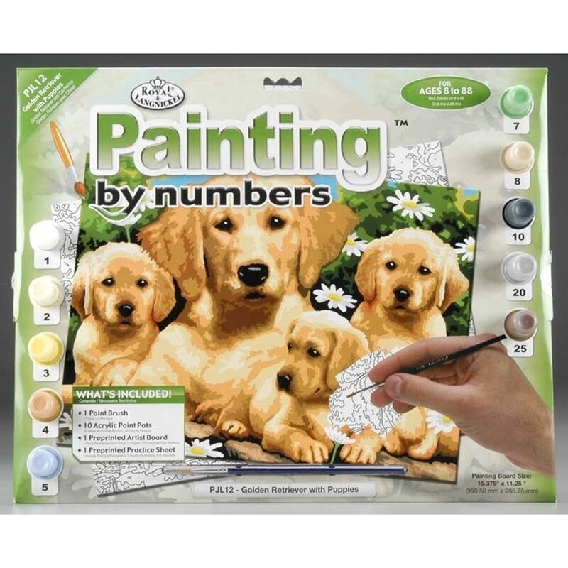 Pictura creativa pe numere avansati golden retriever