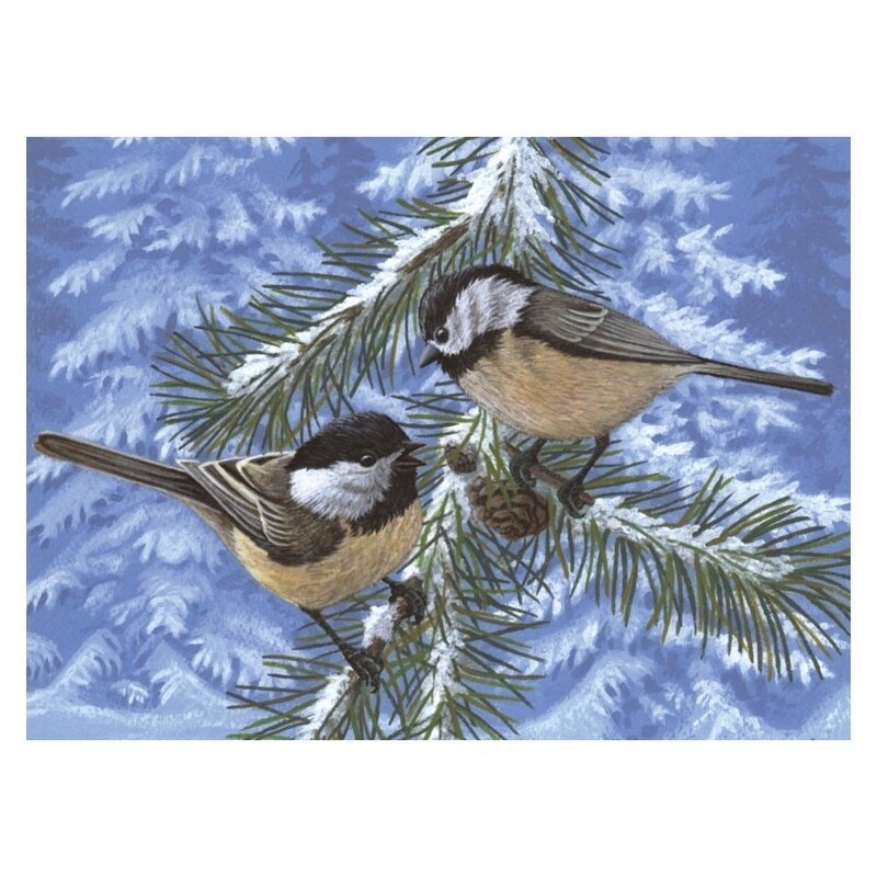 Pictura pe nr avansati mare-pasarele carduelis pinus 32x40 cm