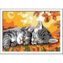 Ravensburger - Pictura pe numere Pisicute somnoroase - 1