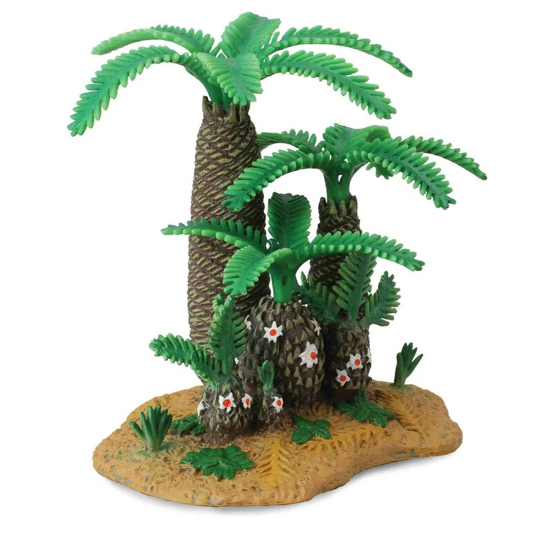 Collecta - plantele monanthesia si cycadeoidea