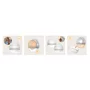 Pompa de san si colector de lapte, Lionelo, Milky 2 in 1, Volum 60 ml, Forma anatomica, Compataibila cu utilizarea cu sutien, Fara bisfenol A, Portabila, Alb - 8