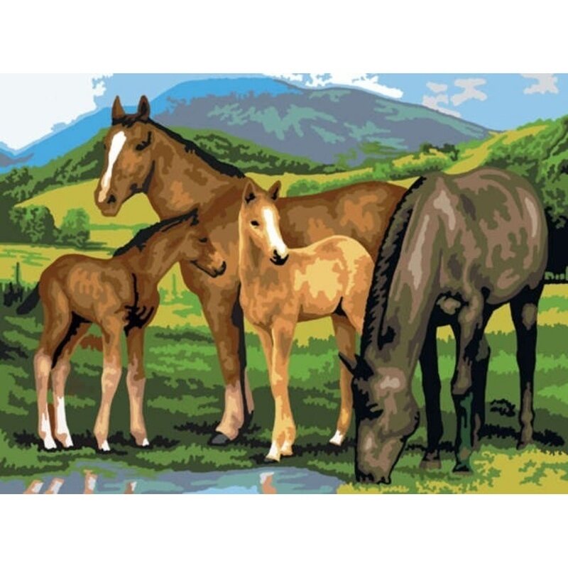 Prima mea pictura pe numere junior mare cai