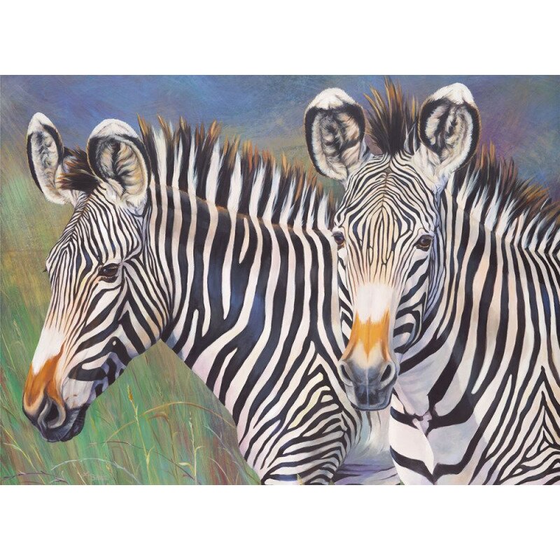 Prima pictura pe numere junior mare zebrele lui grevy