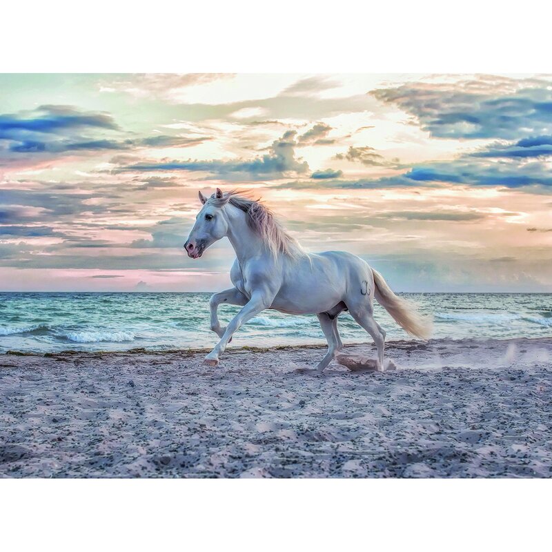 Ravensburger - puzzle animale cal pe plaja puzzle copii, piese 500