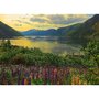 Ravensburger - Puzzle peisaje Fiord Suedia , Puzzle Copii, piese 1000 - 2