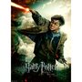 Ravensburger - Puzzle personaje Harry Potter Puzzle Copii, piese 100 - 1