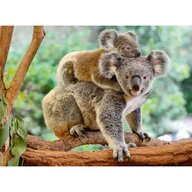 Ravensburger - Puzzle animale Koala Puzzle Copii, piese 200