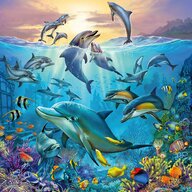 Ravensburger - Puzzle animale Lumea subacvatica Puzzle Copii, piese 147