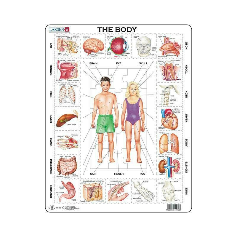 Larsen - puzzle educativ corpul nostru , puzzle copii , maxi, orientare tip portret, in engleza, piese 35