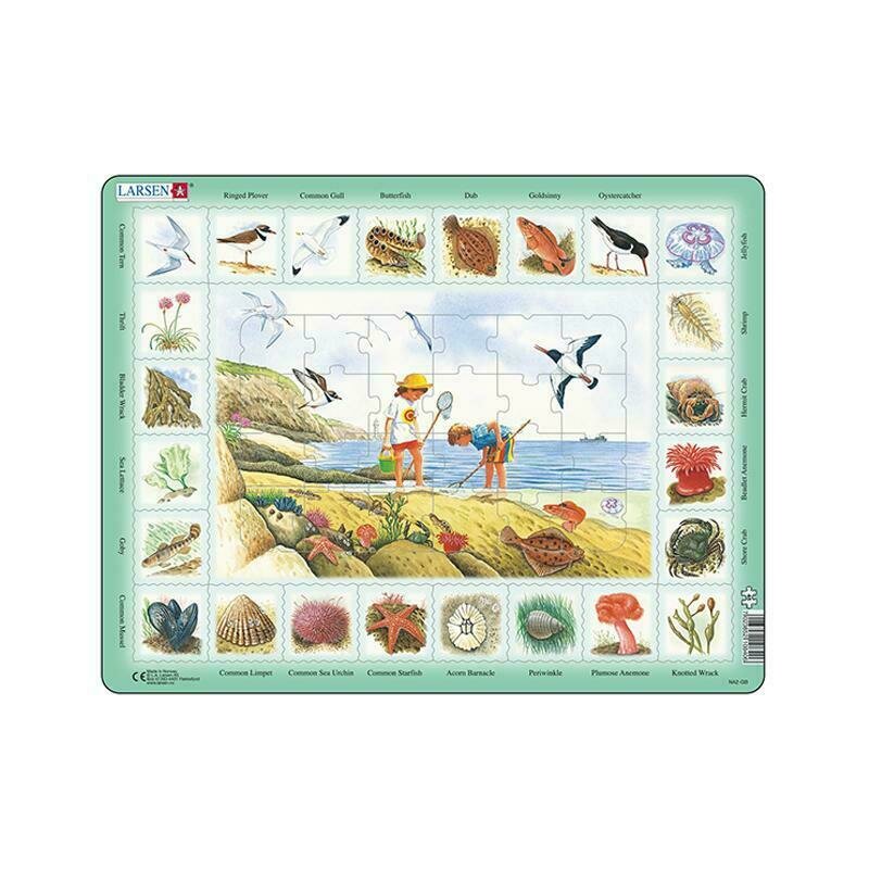 Larsen - puzzle educativ pe plaja , puzzle copii , maxi, orientare tip vedere, in engleza, piese 48