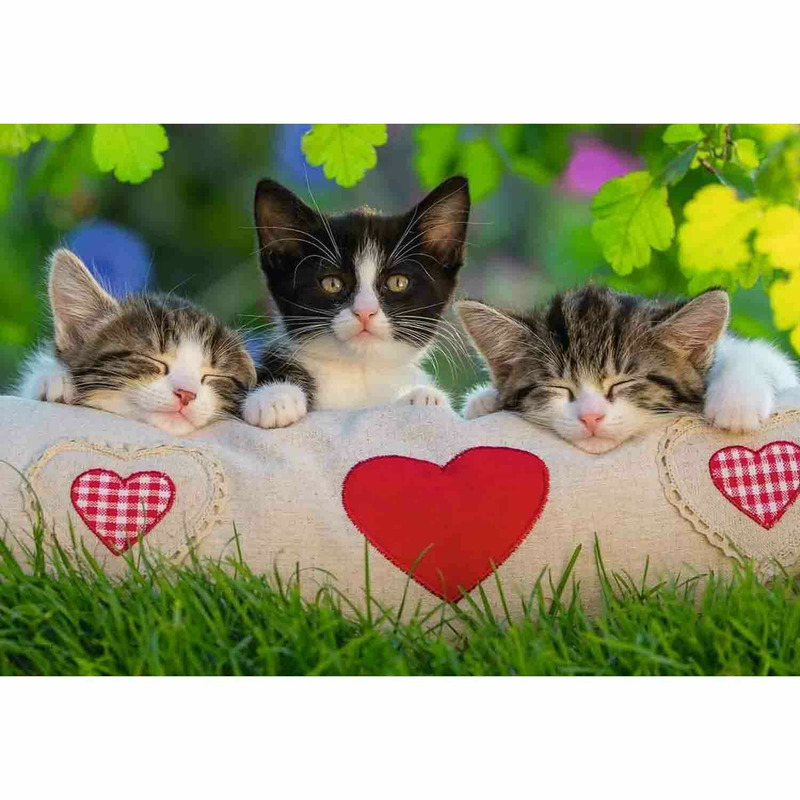 Puzzle pisicute somnoroase, 2x24 piese