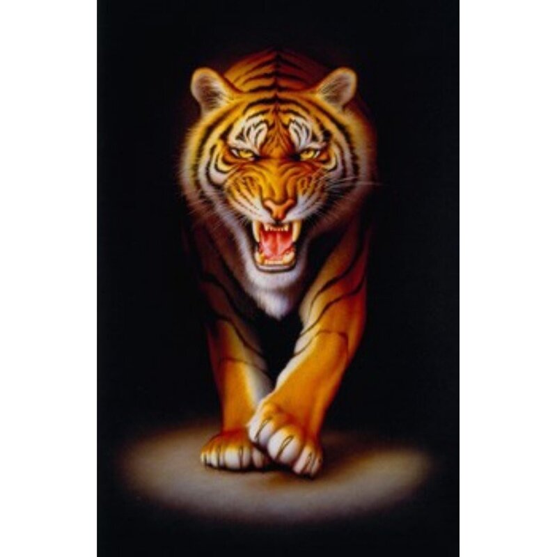 Puzzle tigru 500 piese
