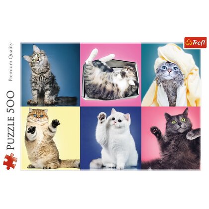 Trefl - Puzzle animale Pisicute , Puzzle Copii, piese 500