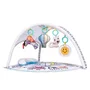 Salteluta interactiva, Qmini, Abby,  Cu muzica, 20 bile, 6 jucarii,  Pentru activitati educationale, 85x85 cm, Multicolor - 10