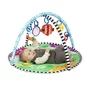 Salteluta interactiva, Baby Einstein, Sea Floor Explorers, Include covoras de apa, 5 jucarii, Pentru activitati educationale, 81x81x46 cm, Multicolor - 1