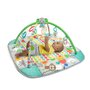 Salteluta interactiva, Bright Starts, 5 in 1, Cu arcada jucarii detasabila si bile, 5 moduri de joaca, 111x100x46 cm, 0 luni+, Albastru - 12