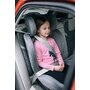 Scaun auto, FreeON, Sierra, Pentru copii, I-size, Nastere - 150 Cm, Rotire 360° grade, Tehnologie Isofix I-Size, Top Tether, Spatar reglabil, Conform cu ECE R129, Grey - 12